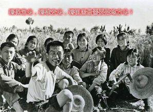 知青奇闻爆料视频完整版,奇闻异事视频完整版深度解析 第3张 知青奇闻爆料视频完整版,奇闻异事视频完整版深度解析 第3张